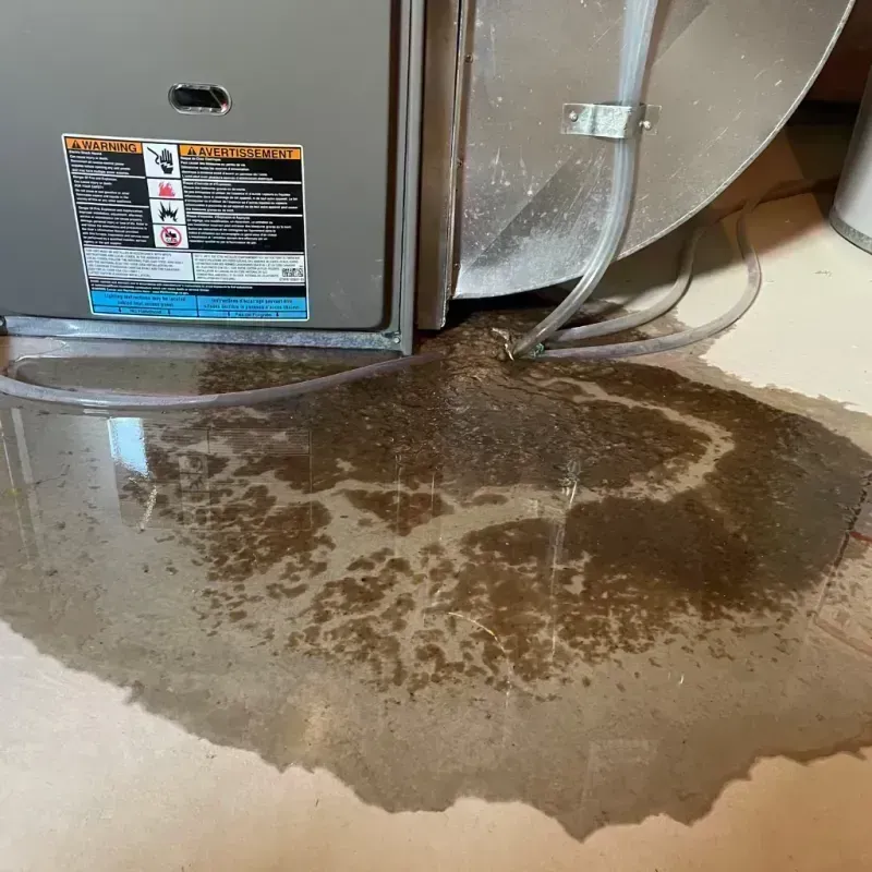 Appliance Leak Cleanup in Swansea, IL